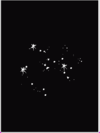 Sagittarius Star.bmp