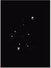 Aquarius Star.bmp