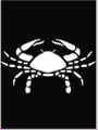 Cancer Animal.bmp