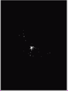 Cancer Star.bmp