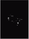 Gemini Star.bmp