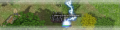 Guide NeutralHighOrcs.png