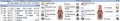 Guide kolelaEquipment.jpg