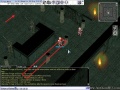 Guide kolelaLeechSpot2.jpg