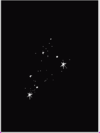 Leo Star.bmp
