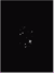 Libra Star.bmp