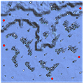 Map far fild03.gif