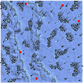 Map far fild06.gif