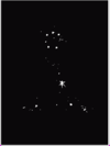 Pisces Star.bmp