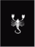 Scorpio Animal.bmp