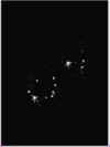 Scorpio Star.bmp