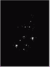 Virgo Star.bmp